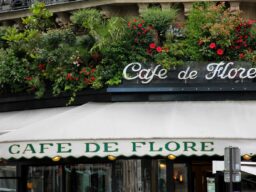 Em Paris, café de Picasso e Sartre começou como ponto de monarquistas