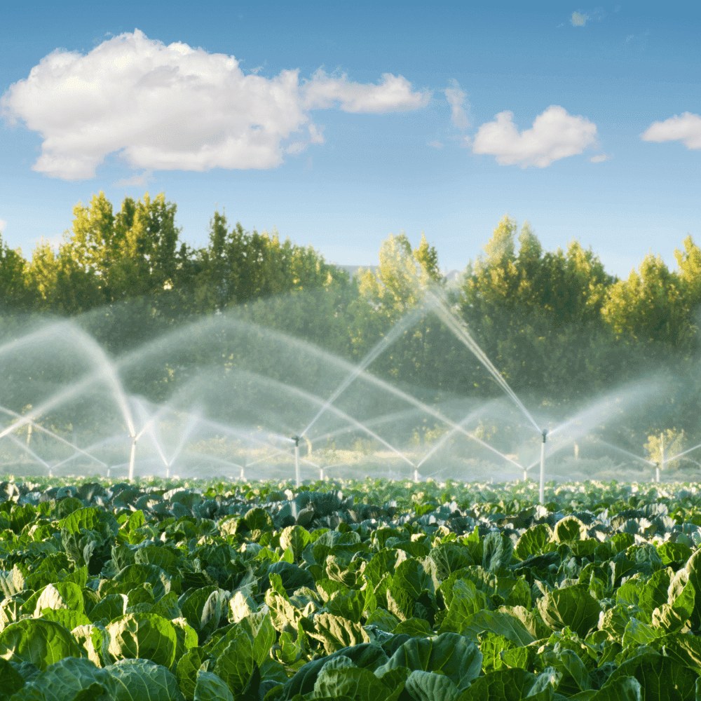 Sistema de irrigação e tecnologia hídrica voltada ao agronegócio desenvolvida pela alagoana Hidro Solo