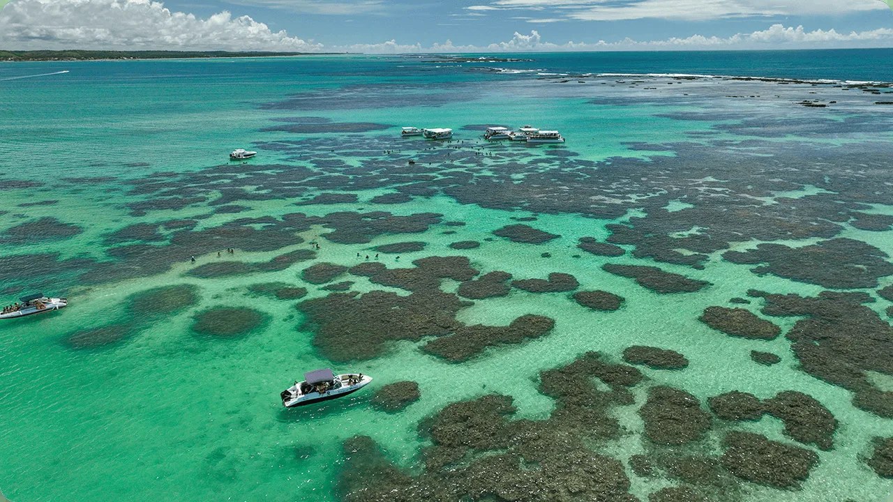 Manchas escuras de recife desenham um mosaico sobre a água esverdeada, com os barcos ao longe