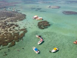 Maragogi limita a 294 pessoas por dia o passeio à Taoca; em Barra Grande, o teto é 426