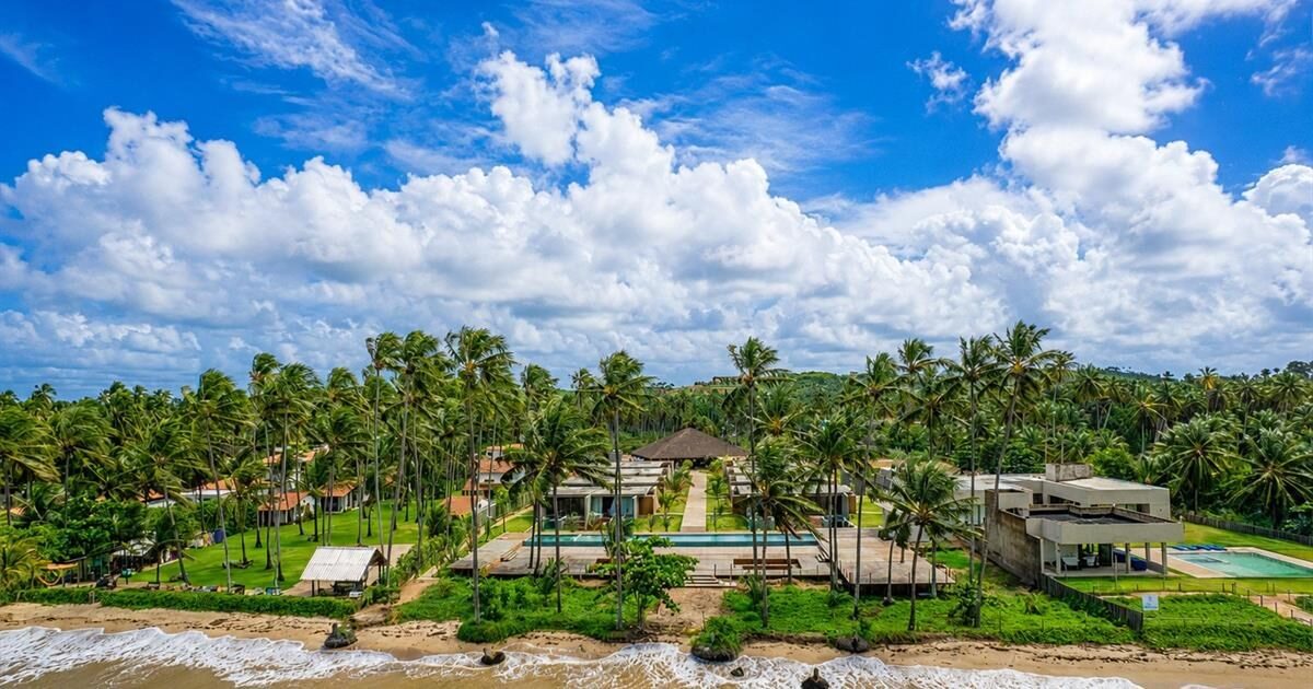 Entre coqueirais, o deck e a piscina avançam em direção à faixa de areia do Patacho